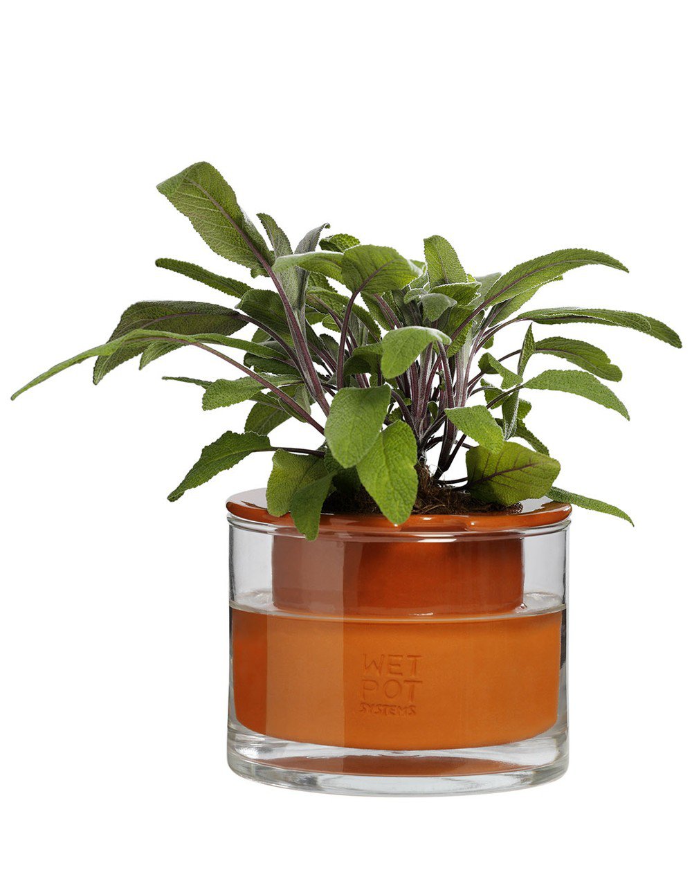 Wet Pot Systems Örtkruka XS KÖK etcetera